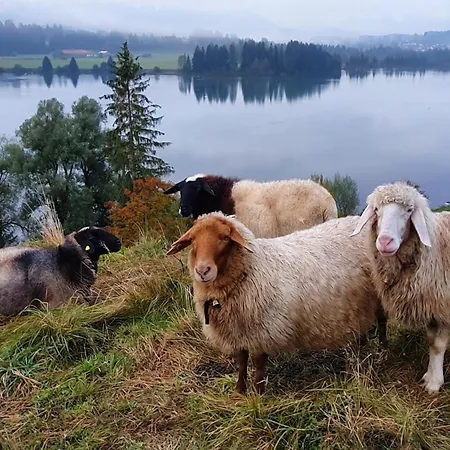 Hébergement de vacances Am Hochbergle Haus 39