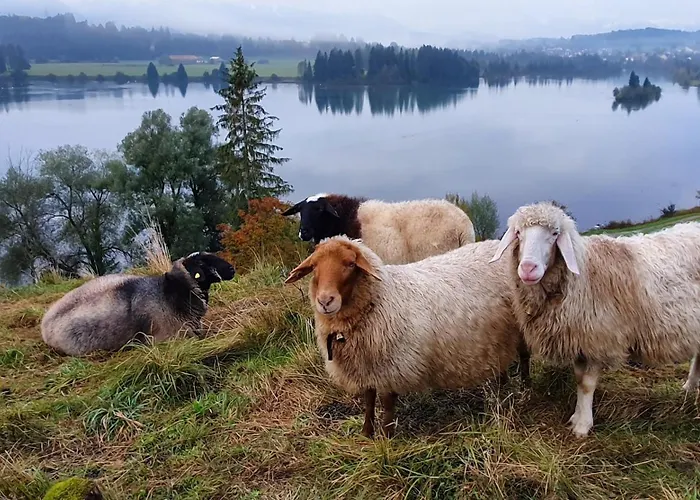 Hébergement de vacances Am Hochbergle Haus 39